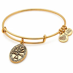 Alex and Ani Women's Gold-Plated Bracelet 20 cm