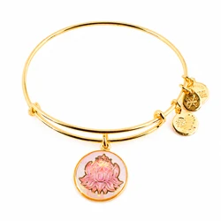 Women's Gold-Tone Bracelet 20cm A16EBLPPYG - Alex and Ani