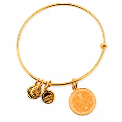 Women's Gold-Plated Bracelet Alex and Ani 20 cm A16EBPOLYG