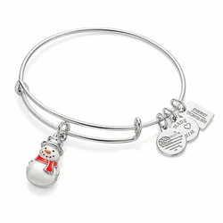 Women's Bracelet 20cm Alex and Ani A16EB91SS