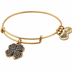 Women's Gold-Plated Bracelet Alex and Ani A17EB28RG 20cm