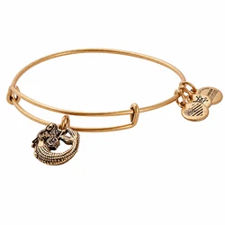 Women's Gold-Tone Bracelet 20cm A17EB74RG - Alex and Ani