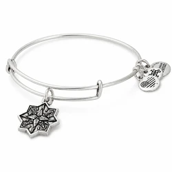 Alex and Ani Women's Bracelet 20 cm — Healing Love Bracelet