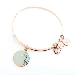 Γυναικείο Βραχιόλι Επιχρυσωμένο 20cm - Alex and Ani (A17EBWAP08SR)