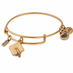 Alex and Ani Women's Gold-Tone Bracelet 20 cm - A18EBGCRG