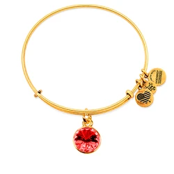 Women's Gold-Tone Metal Bracelet Alex and Ani 19cm (A19EB40SG)