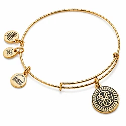 Alex and Ani Gold-Plated Necklace with Diamond - A19EBPL04RG