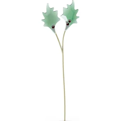 Swarovski Christmas Metal Flower Decoration 15.6 cm - Holly Leaves Green (Model 5586701)