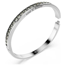 Swarovski Women's Stainless Steel Bracelet 18.6 cm - Model 5690020