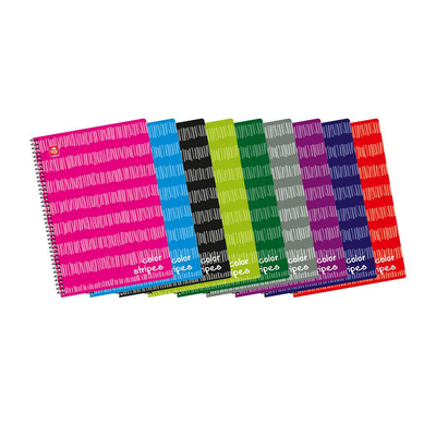 Product Τετράδιο Typotrust Color Stripes Σπιράλ A4 2 θεμάτων (TYP4542-12) base image