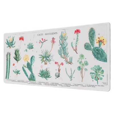 Product Mousepad Grupo Erik Botanical Cacti Gaming (ERIK62181) base image