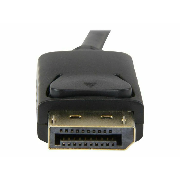 StarTech Cable DisplayPort male - HDMI male 1m (DP2HDMM1MB)