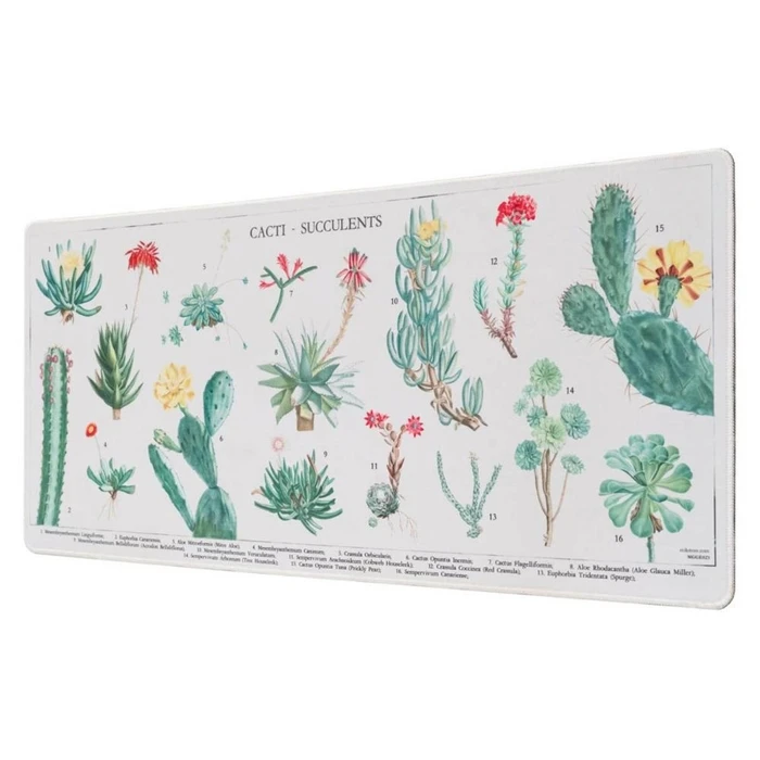 Mousepad Grupo Erik Botanical Cacti Gaming (ERIK62181)