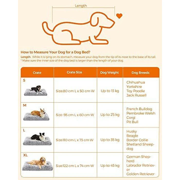 IQSmart Ηλεκτρικός Στίφτης Διπλής Κατεύθυνσης 40W 1,2lt Executive JC-345