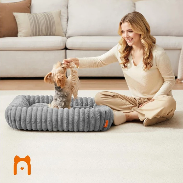 IQ Αποχυμωτής Αργής Συνθλιψης JC-385 300W