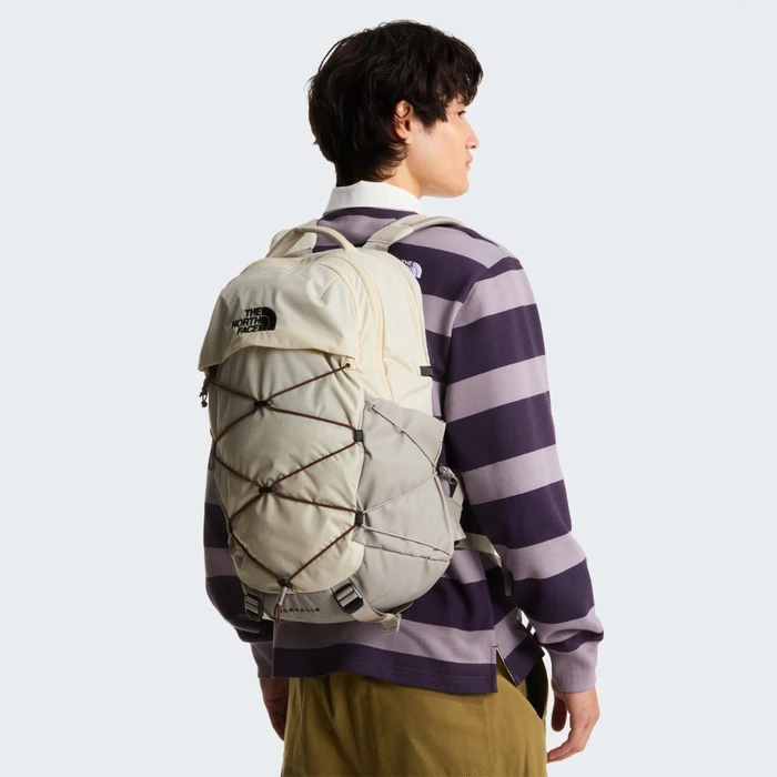 The North Face 28 L Backpack - Beige