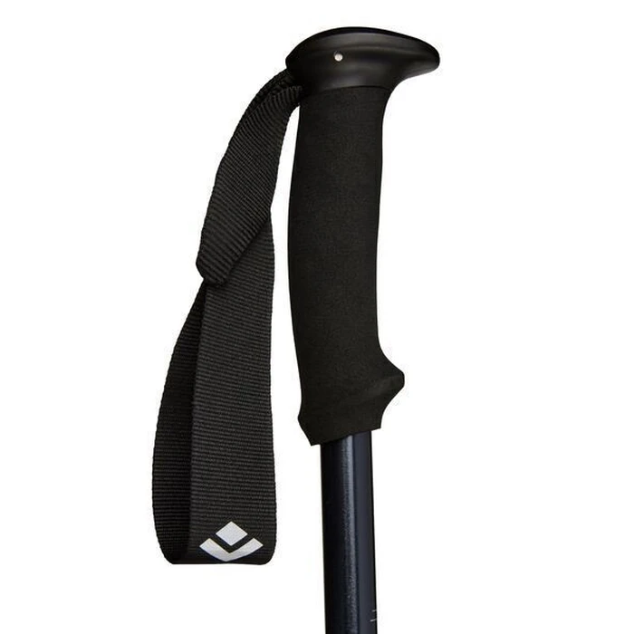 Μπατόν πεζοπορίας Black Diamond Explorer 2 - σκούρο μπλε