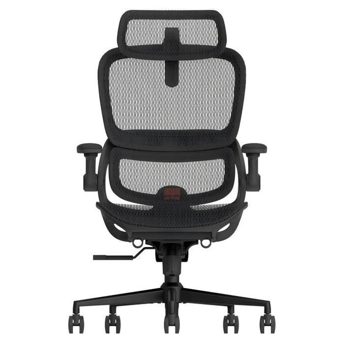 Sihoo B100 Pro Black Ergonomic Executive Office Chair with 4D Adjustable Armrests