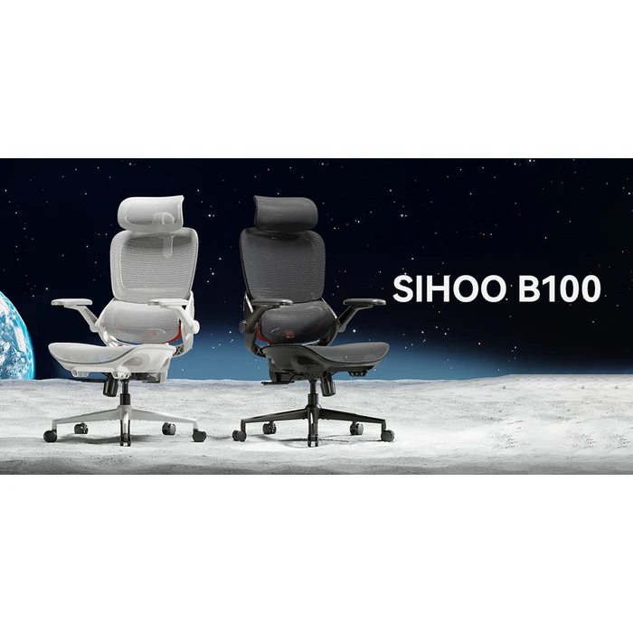 Sihoo B100 Pro Black Ergonomic Executive Office Chair with 4D Adjustable Armrests
