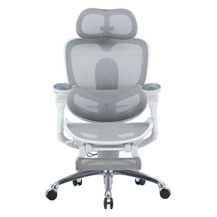 Sihoo Doro C300 Pro V2 Ergonomic Office Chair - Off White