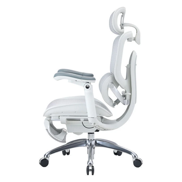 Sihoo Doro C300 Pro V2 Ergonomic Office Chair - Off White