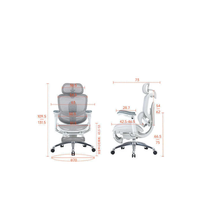 Sihoo Doro C300 Pro V2 Ergonomic Office Chair - Off White