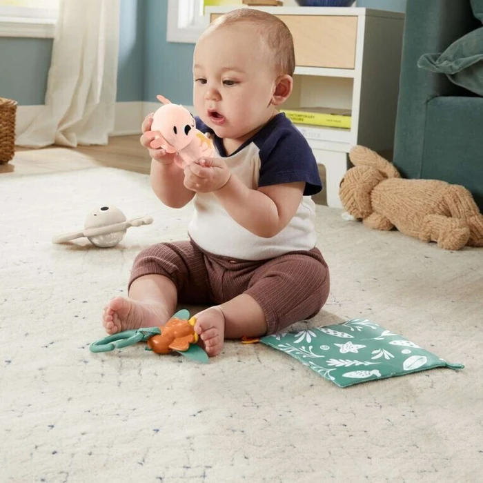 Baby Toy Fisher Price So Many Senses Gift Set HRB17