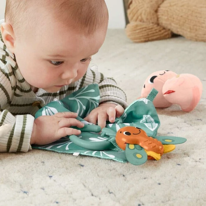 Baby Toy Fisher Price So Many Senses Gift Set HRB17