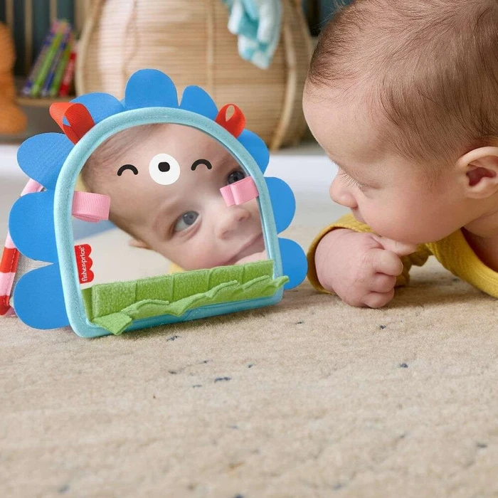 Fisher Price Classic Baby Toys Προϊόν Προς Στήριξη Καθρεφτάκι Σκαντζόχοιρος