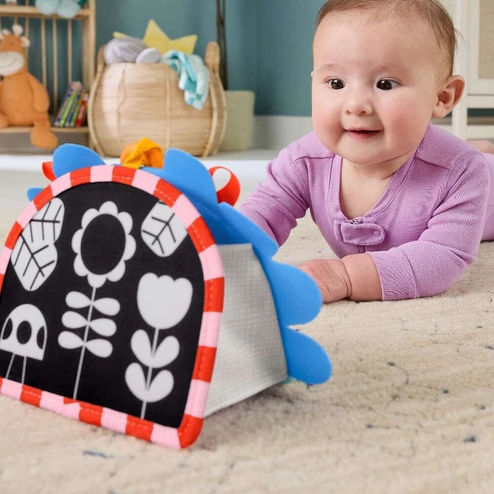 Fisher Price Classic Baby Toys Προϊόν Προς Στήριξη Καθρεφτάκι Σκαντζόχοιρος