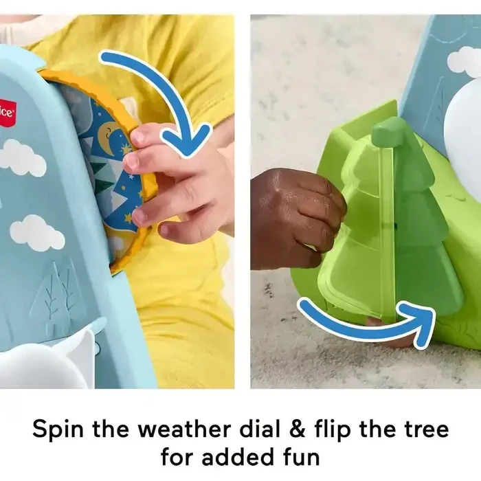 Baby Toy Fisher Price Friendship Forest Ball Mountain