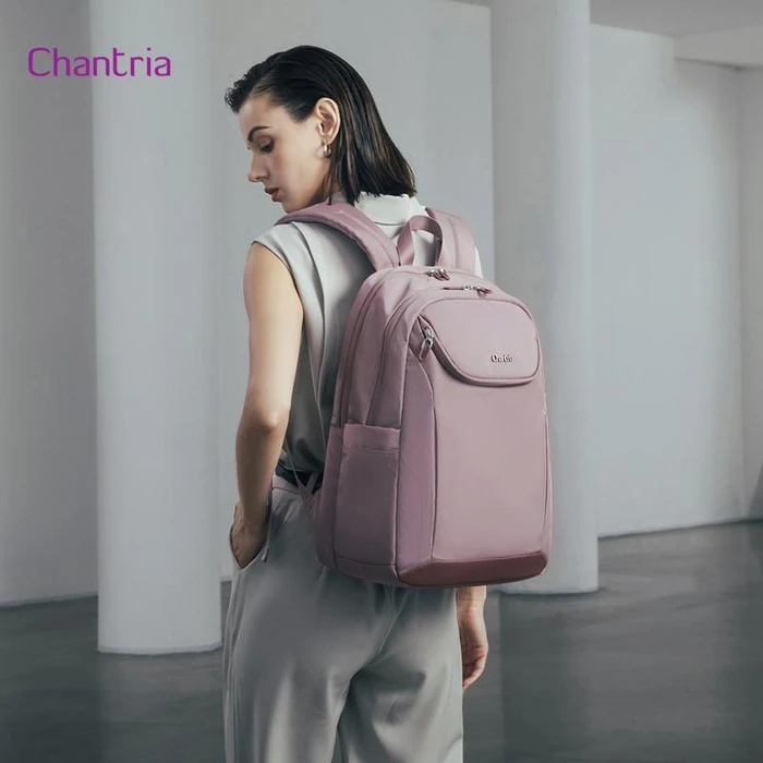 CHANTRIA Backpack with 15.6 inch Laptop Compartment 20.2L Purple