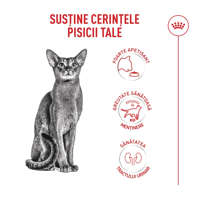 Royal Canin Exigent Ξηρά Τροφή Γάτας 2kg