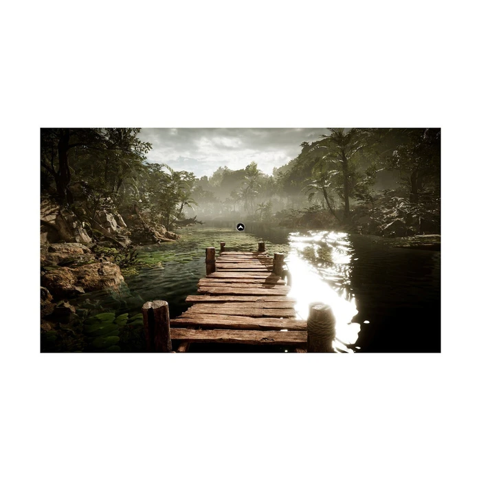 PS5 Amerzone The Explorer's Legacy MICROIDS FRANCE