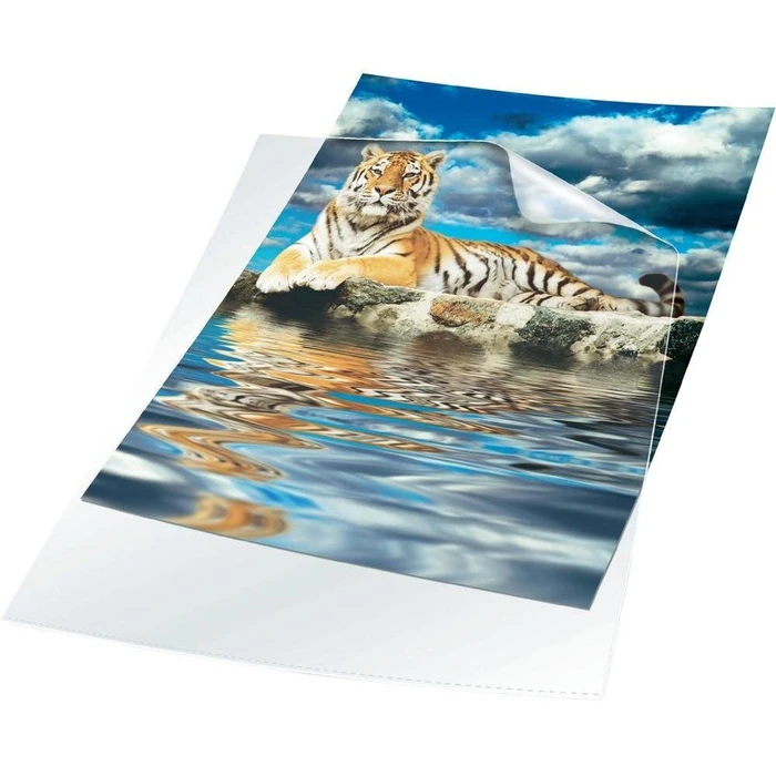 DURABLE A3 Transparent Plastic Sleeves / Display Pockets - Pack of 10