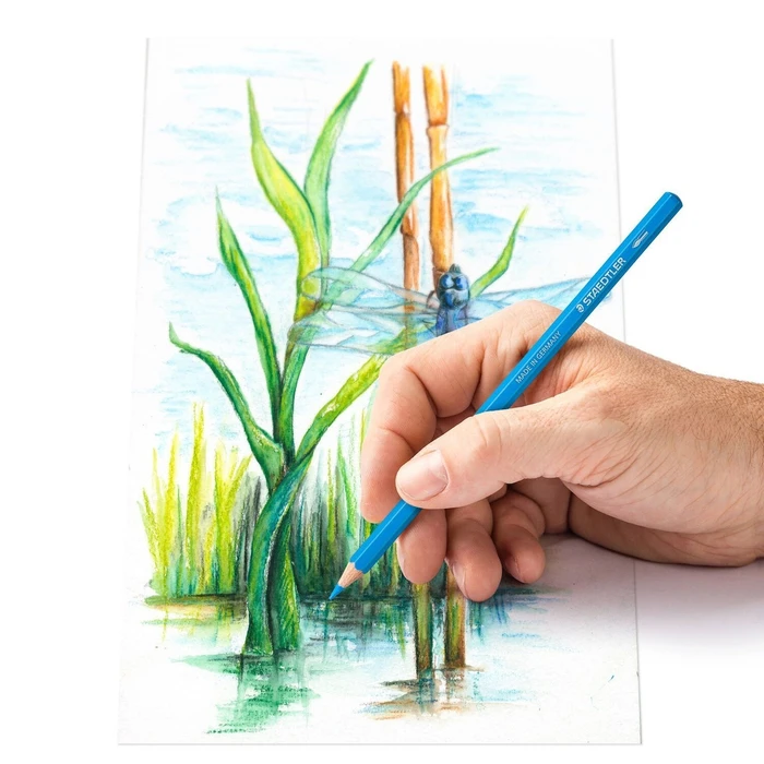 STAEDTLER Farbstift aquarell 12 τεμάχια - Εξαγωνικά ακουαρέλα χρωματιστά μολύβια