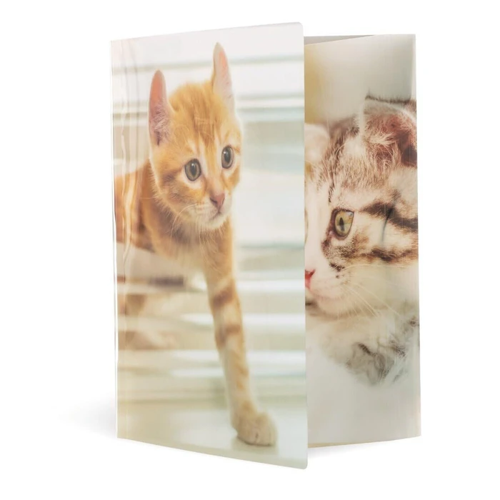 HERMA Συλλεκτικός Φάκελος A4 Glossy με Σχέδιο Γάτα, Πολυπροπυλένιο