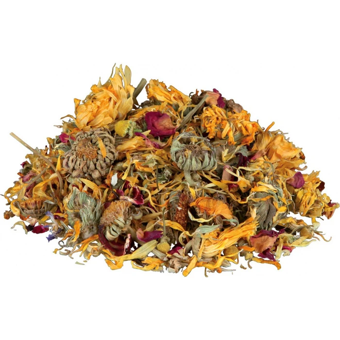 Trixie Τροφή για Χελώνα για Ερπετά 75gr 76394