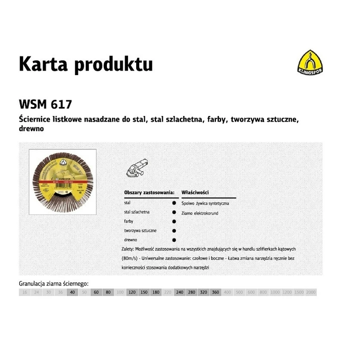Klingspor Δίσκος Λείανσης Ξύλου 125mm (WSM 617, κόκκος 60)