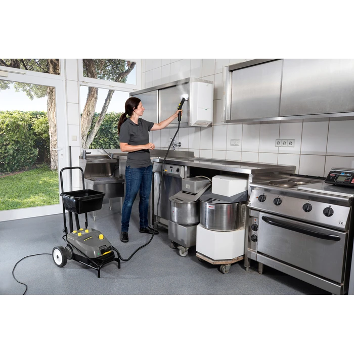 Ατμοκαθαριστής Karcher SG 4/4