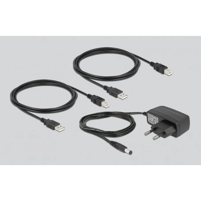 DELOCK USB 2.0 Switch for 2 PCs to 2 USB Devices (USB Type-B)
