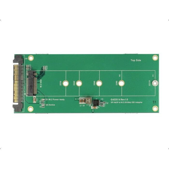 DELOCK U.2 (SFF-8639) NVMe to M.2 Key M Converter (Model 62865)