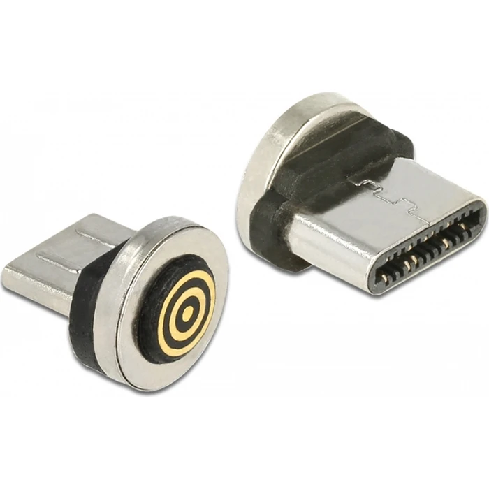 DELOCK Μαγνητικός Αντάπτορας USB Type-C, αρσενικός