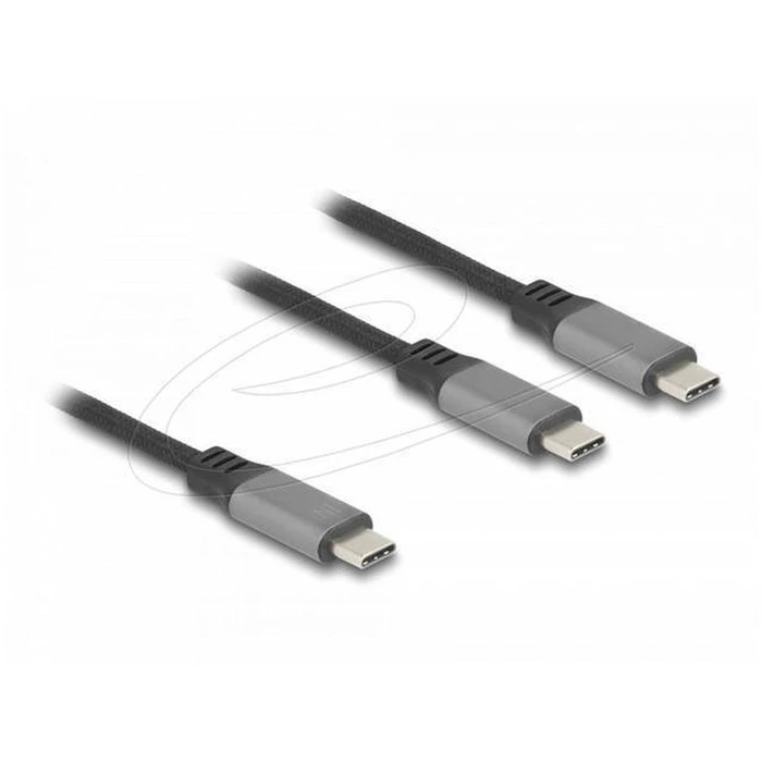DeLOCK USB-C Y-Καλώδιο 1 x βύσμα σε 2 x βύσματα PD 3.0 100W 1,2 m (Μοντέλο 81271)
