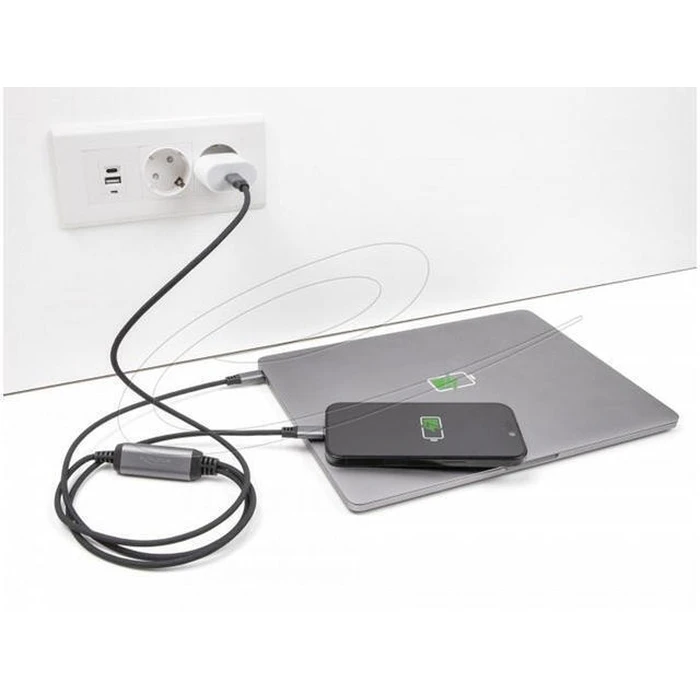 DeLOCK USB-C Y-Καλώδιο 1 x βύσμα σε 2 x βύσματα PD 3.0 100W 1,2 m (Μοντέλο 81271)