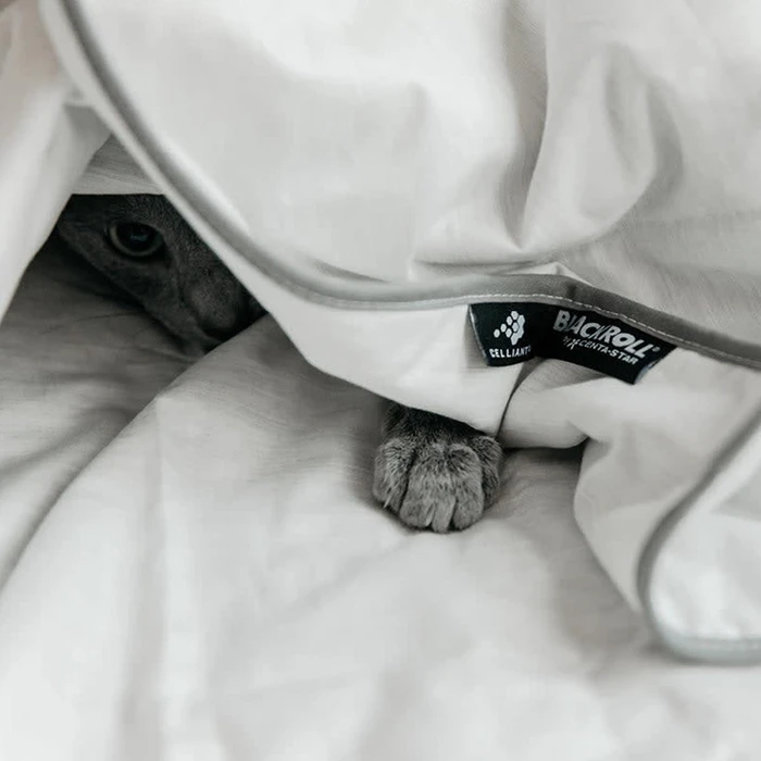 Blackroll Recovery Blanket Summer Γκρι 135x200 εκ.