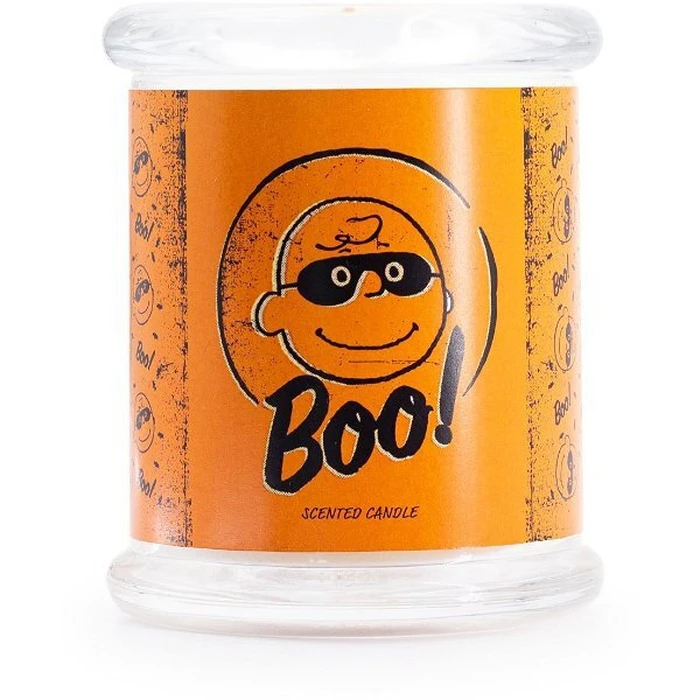 Peanuts Snoopy and Woodstock Scented Candle in Jar 250 g