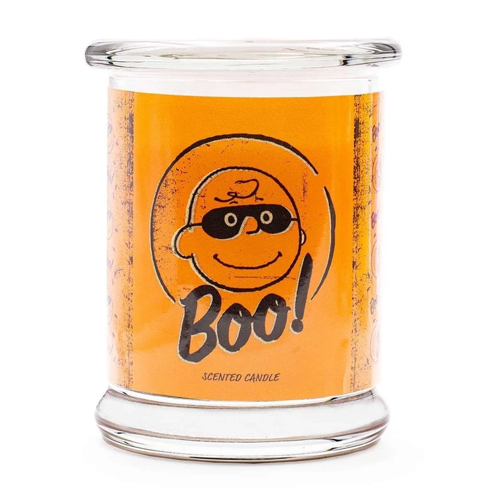 Peanuts Snoopy and Woodstock Scented Candle in Jar 250 g