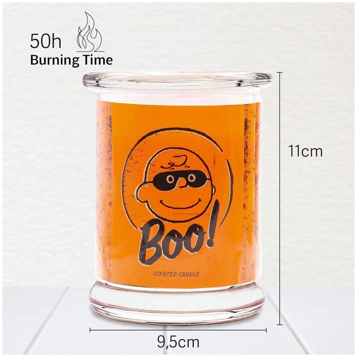 Peanuts Snoopy and Woodstock Scented Candle in Jar 250 g