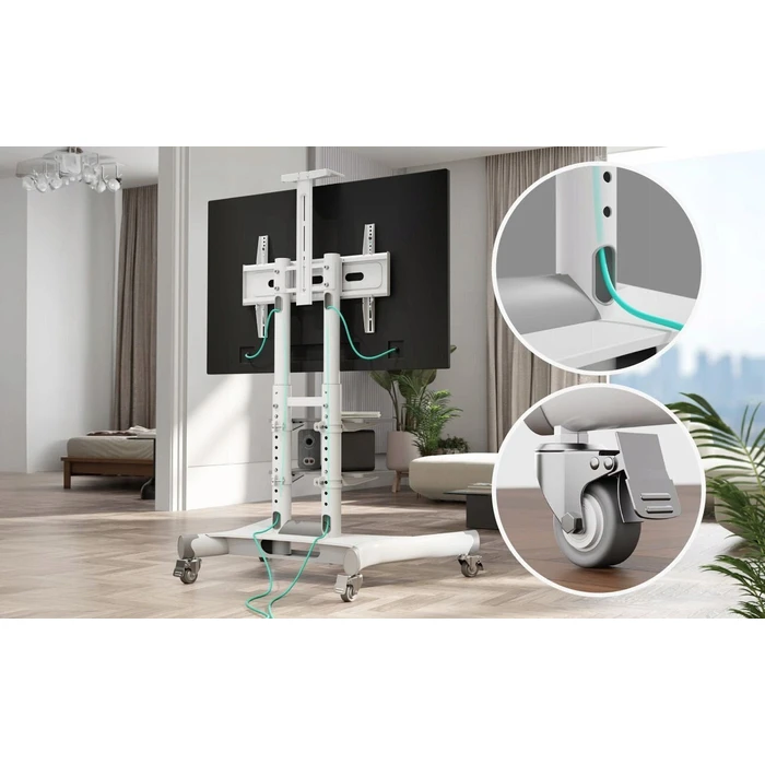 TV Floor Stand 40-70 inches White - Onkron TS1552-W